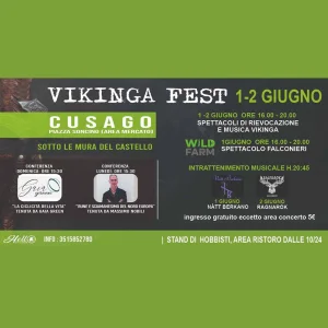 VIKINGA FEST 2a edizione